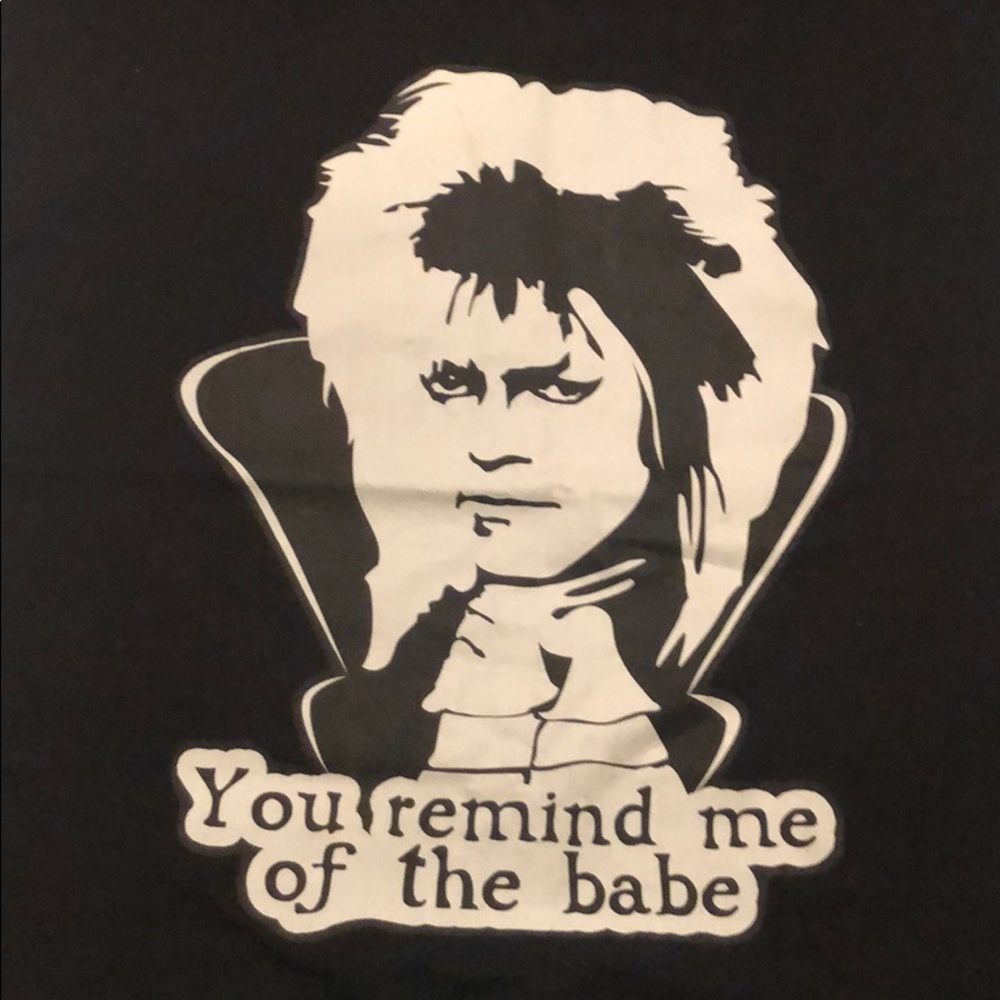 NWT Labyrinth Quote Pillow Case